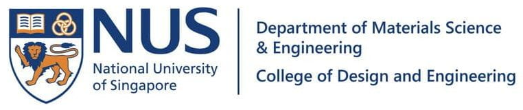 NUS MSE